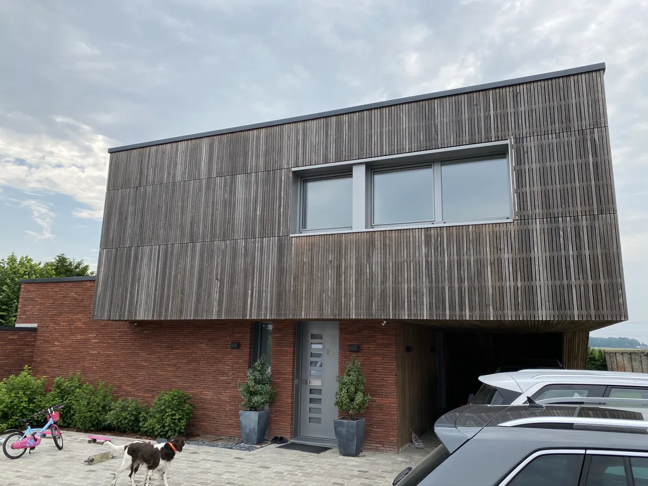 Façade bois contemporaine à Tourmignies